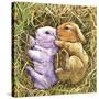 Two Bunnies-Wendy Edelson-Stretched Canvas