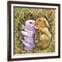 Two Bunnies-Wendy Edelson-Framed Giclee Print