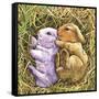 Two Bunnies-Wendy Edelson-Framed Stretched Canvas