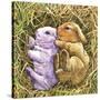 Two Bunnies-Wendy Edelson-Stretched Canvas