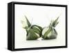 Two Burrata (S. Italian Cheese Speciality)-Luzia Ellert-Framed Stretched Canvas