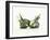 Two Burrata (S. Italian Cheese Speciality)-Luzia Ellert-Framed Photographic Print