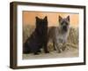 Two Cairn Terriers of Different Coat Colours-Petra Wegner-Framed Photographic Print