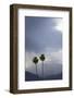 Two California Fan Palm Trees with Mountains and Rain Clouds Beyond-Timothy Hearsum-Framed Photographic Print