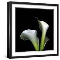 Two Calla Lilies Against a Dramatic Square Black Background-Christian Slanec-Framed Photographic Print