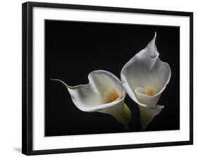 Two Calla Lilies-George Oze-Framed Photographic Print