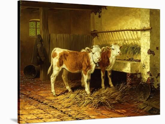 Two Calves in a Barn-Walter Hunt-Stretched Canvas