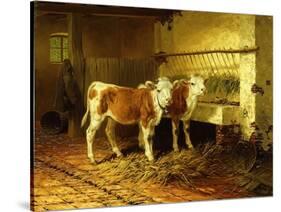 Two Calves in a Barn-Walter Hunt-Stretched Canvas