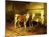 Two Calves in a Barn-Walter Hunt-Mounted Giclee Print