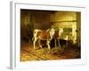 Two Calves in a Barn-Walter Hunt-Framed Giclee Print