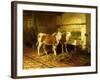 Two Calves in a Barn-Walter Hunt-Framed Giclee Print