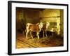 Two Calves in a Barn-Walter Hunt-Framed Giclee Print