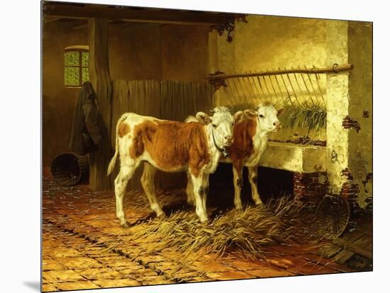 Two Calves in a Barn-Walter Hunt-Mounted Giclee Print