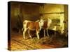 Two Calves in a Barn-Walter Hunt-Stretched Canvas