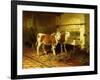 Two Calves in a Barn-Walter Hunt-Framed Giclee Print