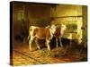 Two Calves in a Barn-Walter Hunt-Stretched Canvas