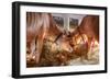 Two Calves-Robert Goldwitz-Framed Photographic Print