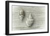 Two Cancellaria Shells-Cora Niele-Framed Photographic Print