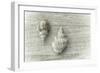 Two Cancellaria Shells-Cora Niele-Framed Photographic Print