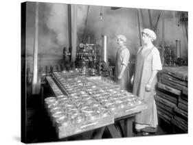 Two Cannery Workers at Apex Fish Co., Anacortes, WA, Circa 1913-Asahel Curtis-Stretched Canvas