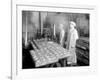 Two Cannery Workers at Apex Fish Co., Anacortes, WA, Circa 1913-Asahel Curtis-Framed Giclee Print