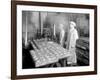 Two Cannery Workers at Apex Fish Co., Anacortes, WA, Circa 1913-Asahel Curtis-Framed Giclee Print