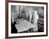 Two Cannery Workers at Apex Fish Co., Anacortes, WA, Circa 1913-Asahel Curtis-Framed Giclee Print