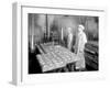 Two Cannery Workers at Apex Fish Co., Anacortes, WA, Circa 1913-Asahel Curtis-Framed Giclee Print