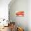 Two Canoes-Ursula Abresch-Photographic Print displayed on a wall