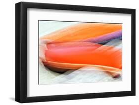 Two Canoes-Ursula Abresch-Framed Photographic Print