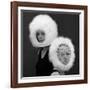 Two Capsule Line Feathered Helmets, 1960s-John French-Framed Giclee Print