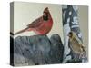 Two Cardinals-Rusty Frentner-Stretched Canvas