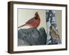 Two Cardinals-Rusty Frentner-Framed Giclee Print