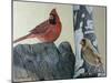 Two Cardinals-Rusty Frentner-Mounted Giclee Print