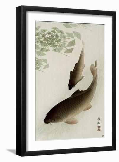 Two Carp and Blooming Water Plants-Koson Ohara-Framed Premium Giclee Print