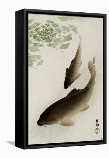 Two Carp and Blooming Water Plants-Koson Ohara-Framed Stretched Canvas