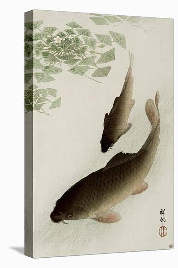 Two Carp and Blooming Water Plants-Koson Ohara-Stretched Canvas