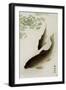 Two Carp and Blooming Water Plants-Koson Ohara-Framed Giclee Print