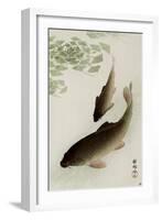 Two Carp and Blooming Water Plants-Koson Ohara-Framed Giclee Print