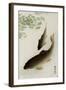 Two Carp and Blooming Water Plants-Koson Ohara-Framed Giclee Print