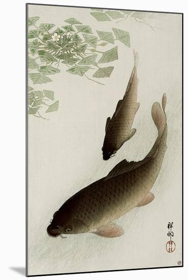 Two Carp and Blooming Water Plants-Koson Ohara-Mounted Giclee Print