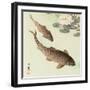 Two Carp and Water Lily Pad-Koson Ohara-Framed Giclee Print