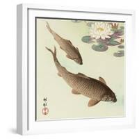 Two Carp and Water Lily Pad-Koson Ohara-Framed Giclee Print