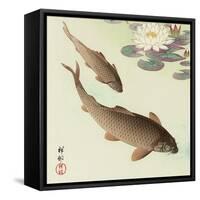 Two Carp and Water Lily Pad-Koson Ohara-Framed Stretched Canvas