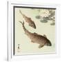 Two Carp and Water Lily Pad-Koson Ohara-Framed Giclee Print