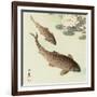 Two Carp and Water Lily Pad-Koson Ohara-Framed Giclee Print