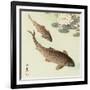 Two Carp and Water Lily Pad-Koson Ohara-Framed Giclee Print