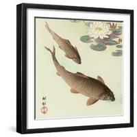 Two Carp and Water Lily Pad-Koson Ohara-Framed Premium Giclee Print