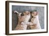 Two Cat Kitten Brethren Sleeping Hug Embrace-Mumemories-Framed Photographic Print