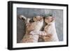 Two Cat Kitten Brethren Sleeping Hug Embrace-Mumemories-Framed Photographic Print